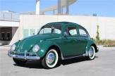 green beetle