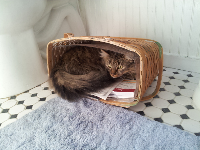 Weekly Photo Challenge: Habit