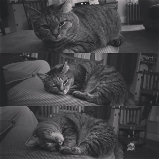 15025126_10211255724855722_1043050920803926867_o